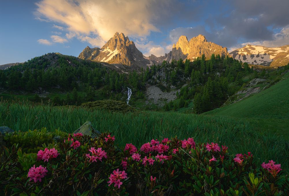 Photograph by Grégoire Pansu