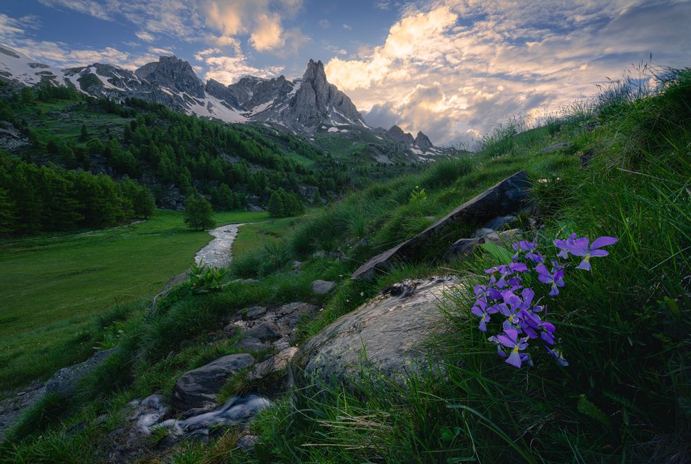 Photograph by Grégoire Pansu