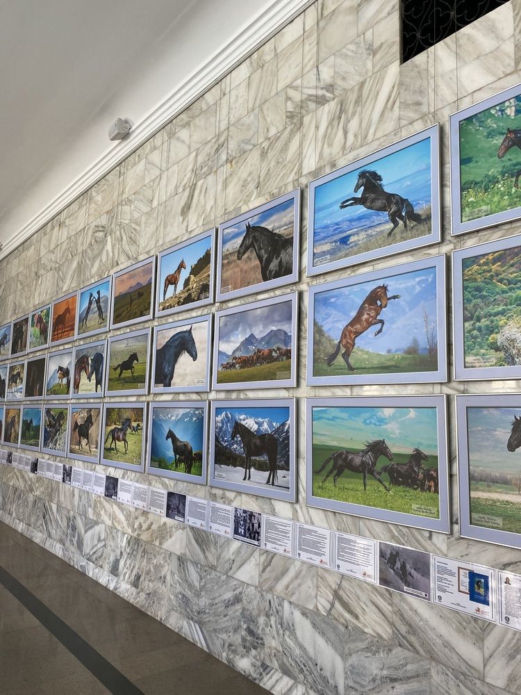 Photograph by Олеся Чистова