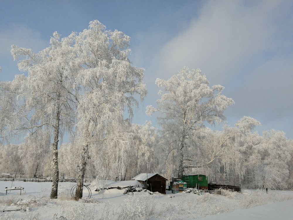 Photograph by Галина Попова