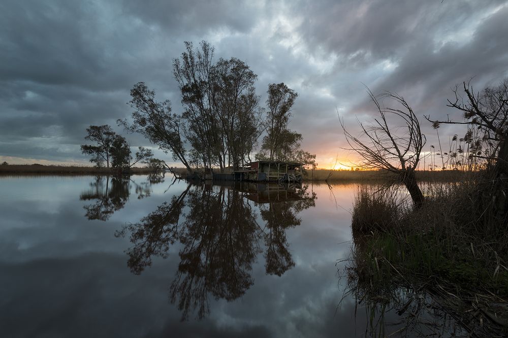 Photograph by andrea lorenzetti