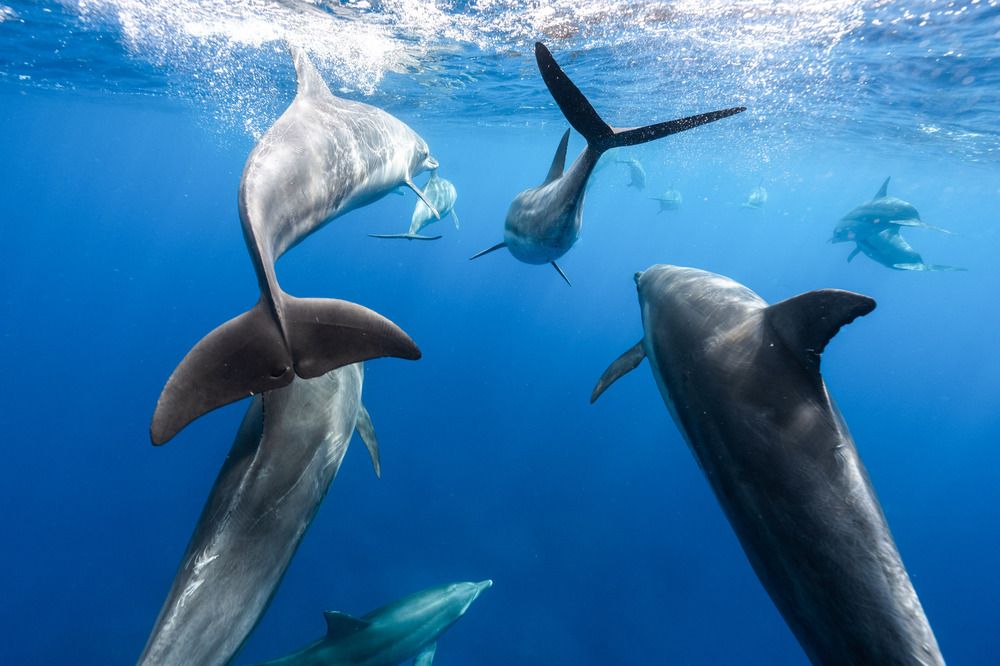 Photograph by AKASAKA AKIRA