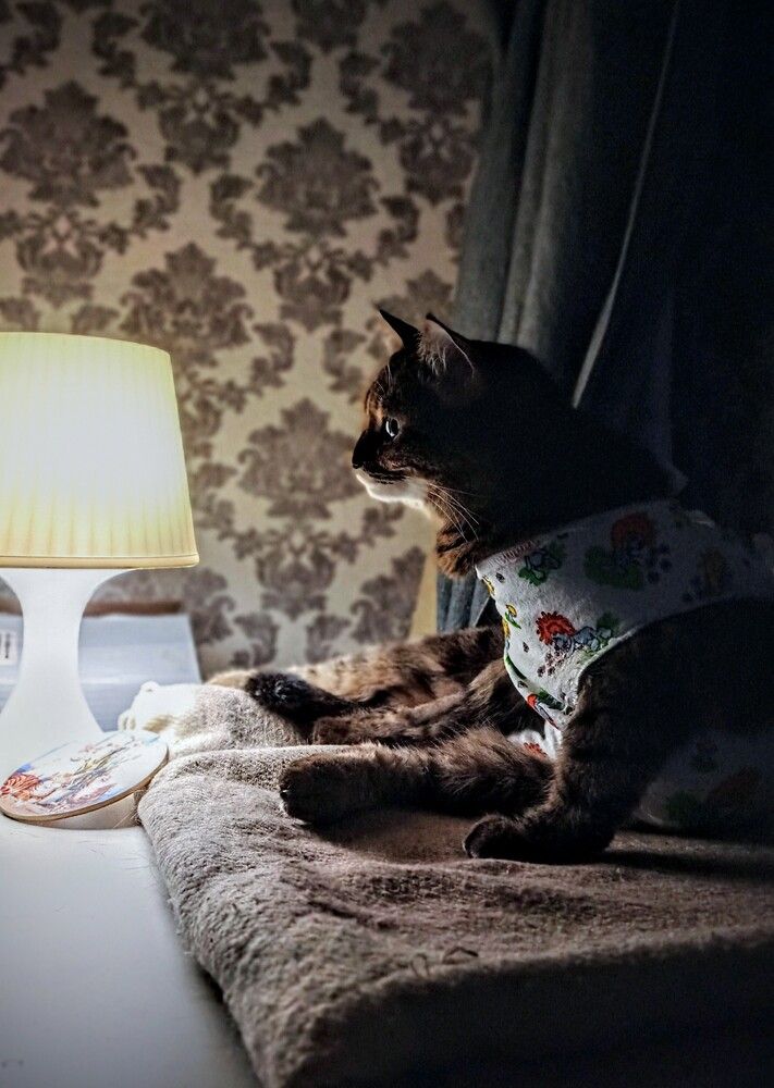 Photograph by Артем
