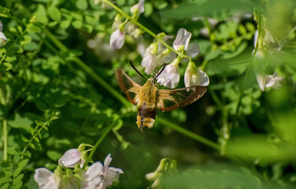 Photograph by Ирина