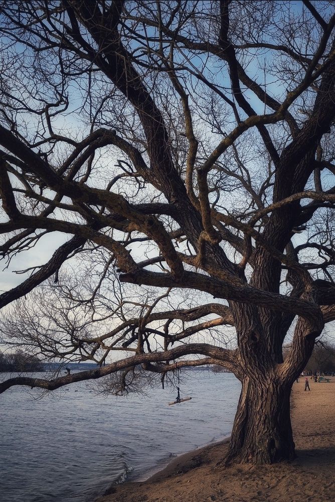 Photograph by Елена
