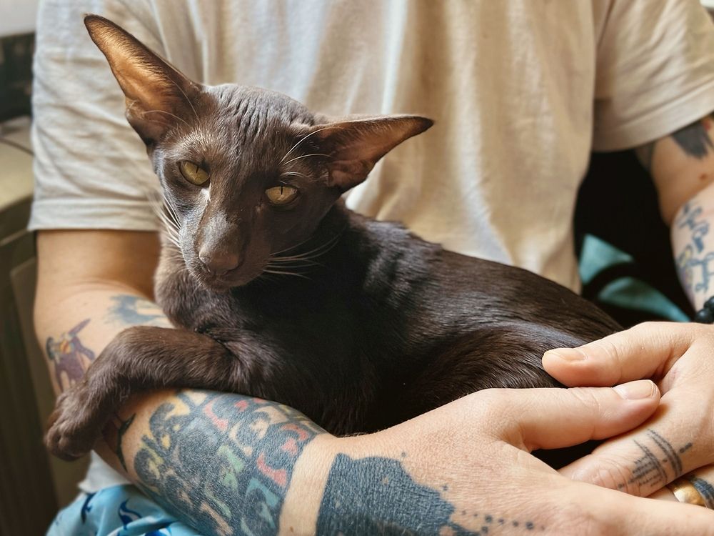 Фотография автора Мария Жукова