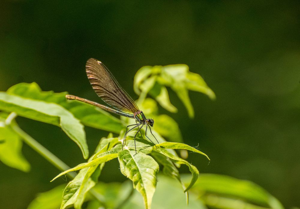 Photograph by Ирина