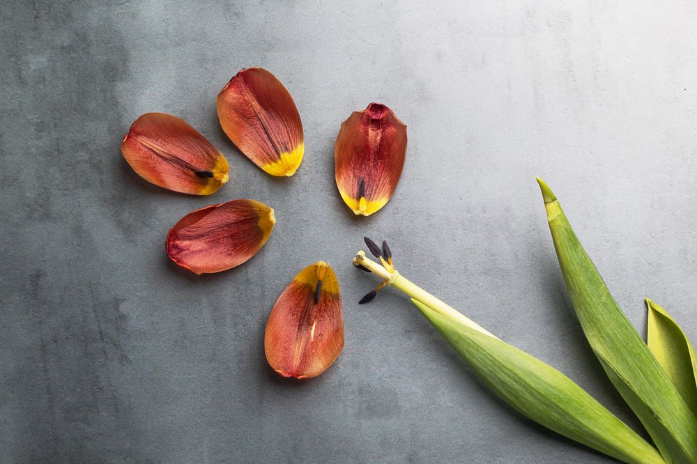 Фотография автора Наталья Василькова