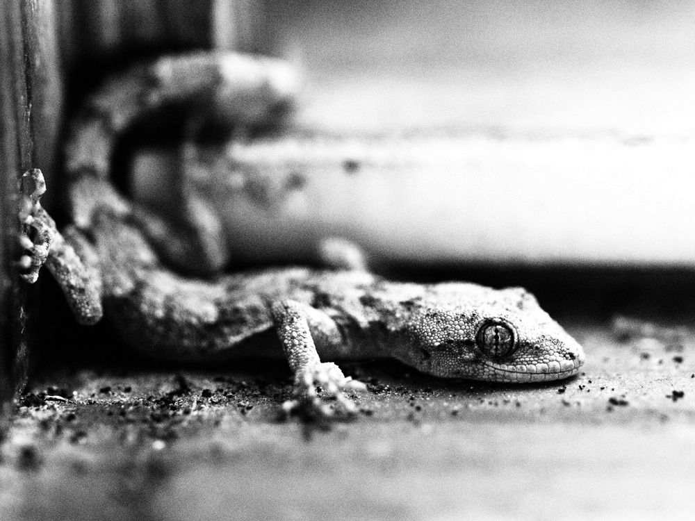 Photograph by Сергей Борисов