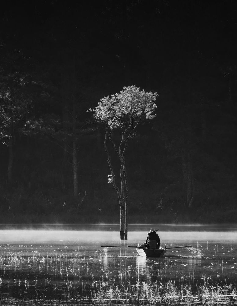 Фотография автора NGUYEN NGOC SON