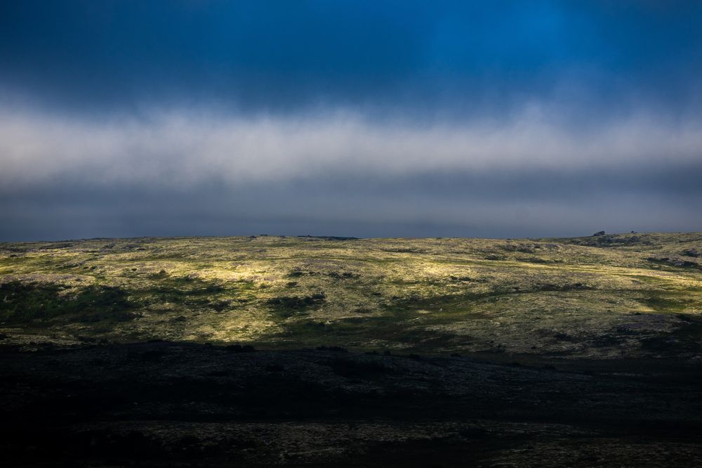 Photograph by Nikita