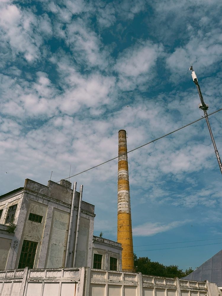 Фотография автора Мария Жукова