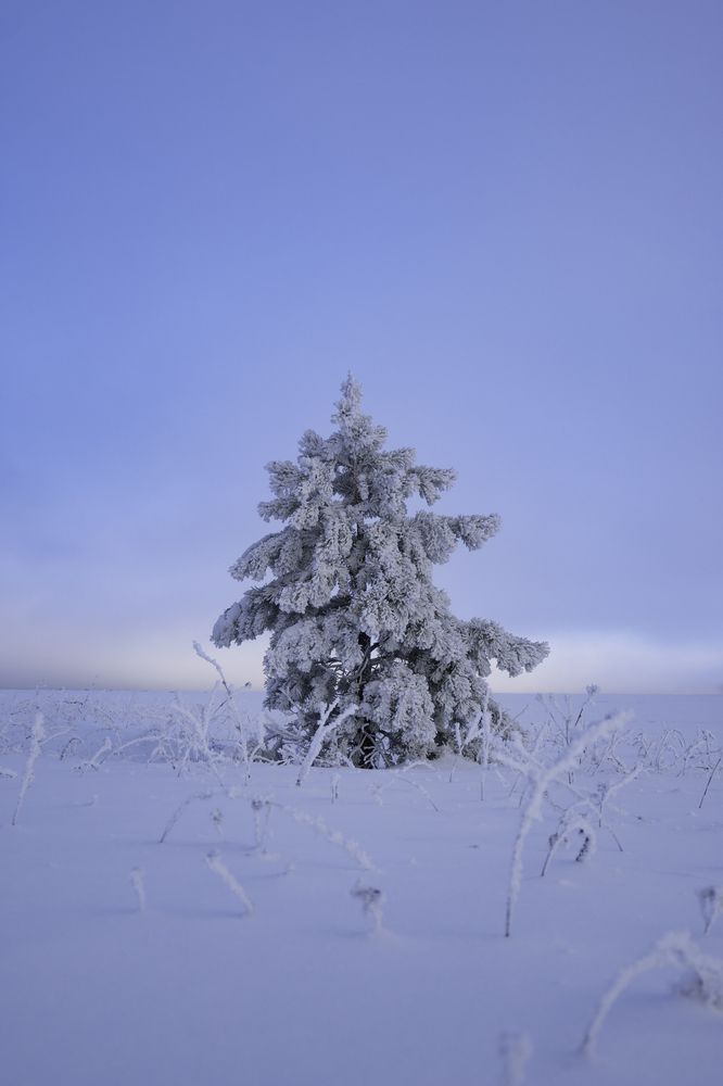 Photograph by Ильсур Абдуллин