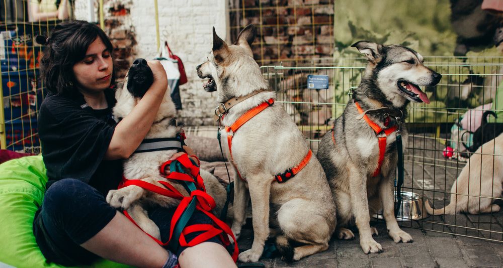 Photograph by Михаил Селезнев