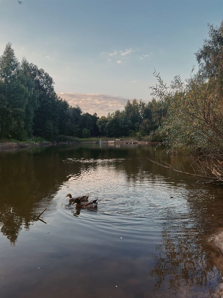 Photograph by Мария Жукова