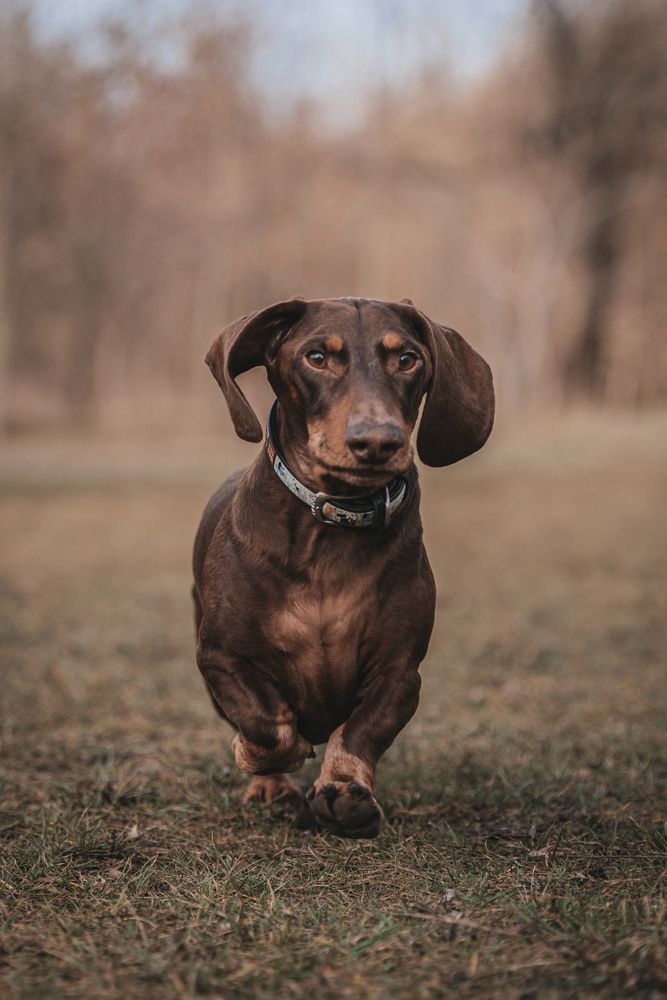 Фотография автора Ольга Тенилова