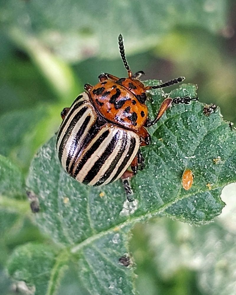 Photograph by Эмма Рахматуллина