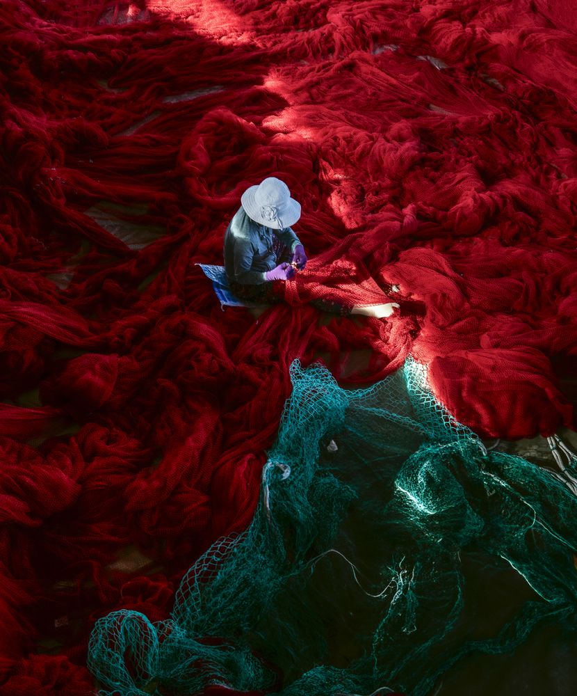 Photograph by Tuấn Nguyễn Tấn