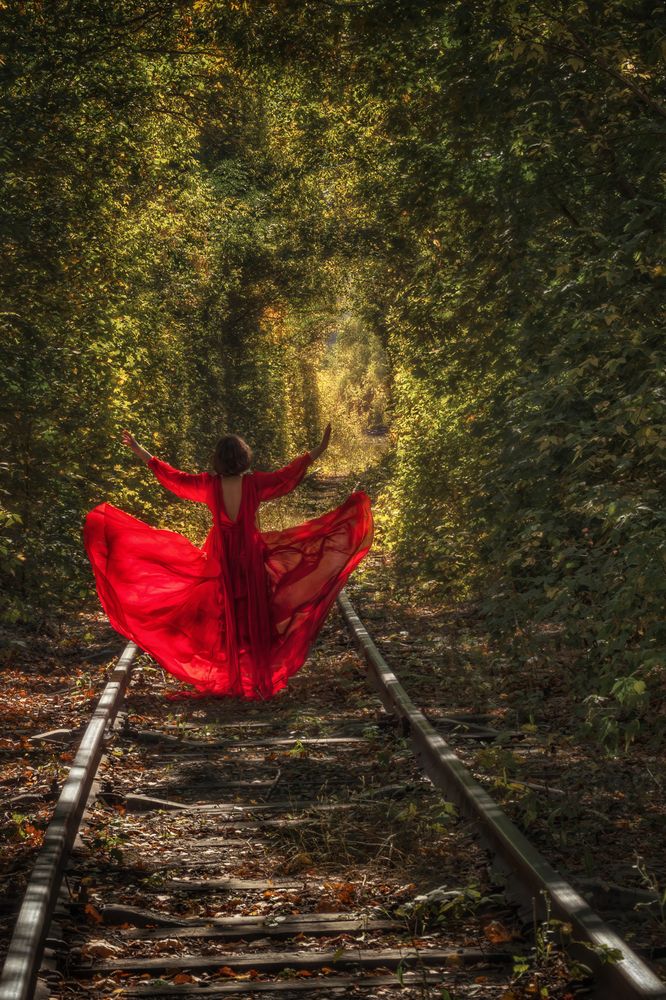 Photograph by Дудников Александр