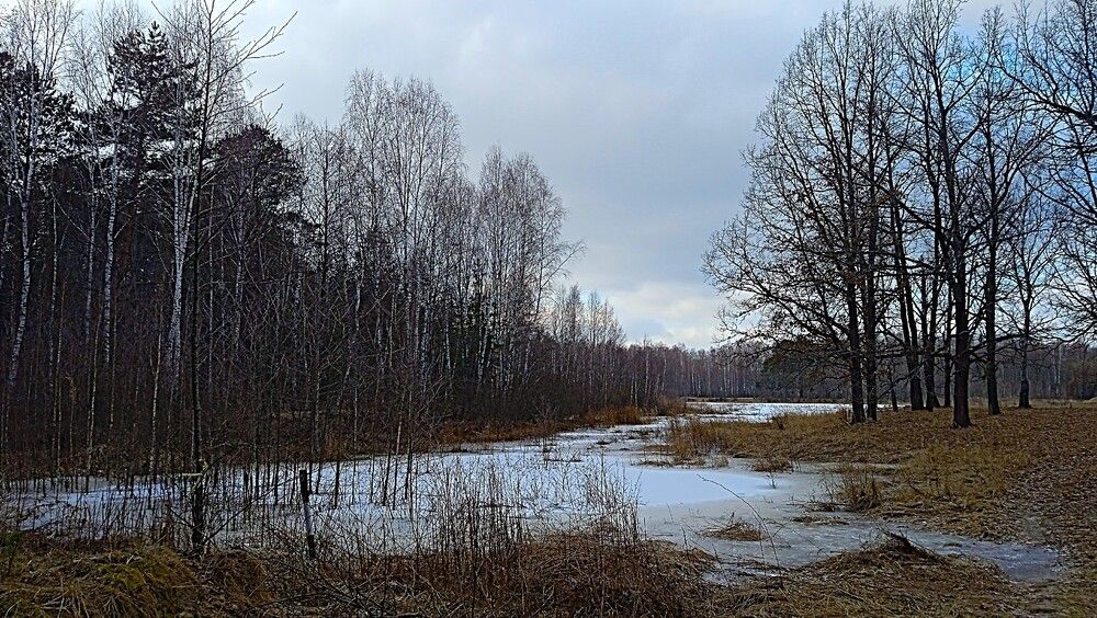 Photograph by Елена Большунова