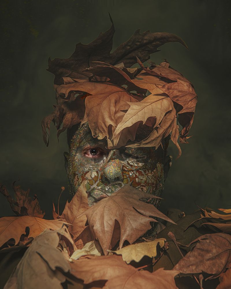 Фотография автора elvira kezene