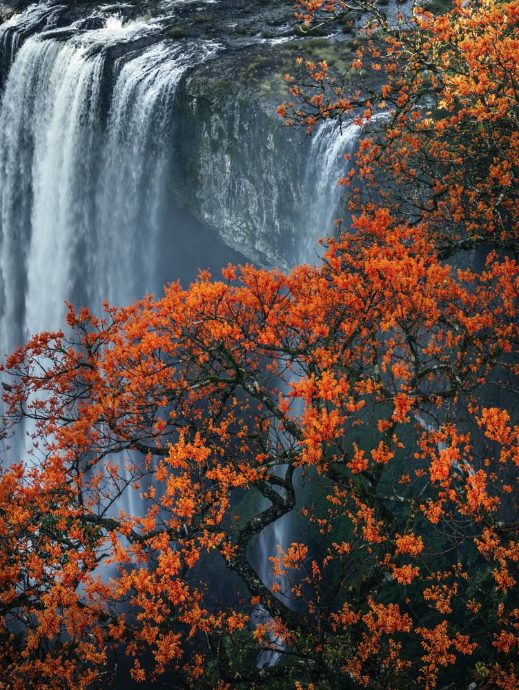 Photograph by Tuấn Nguyễn Tấn