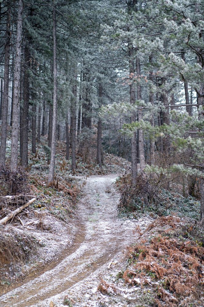 Photograph by Katherin Korovina