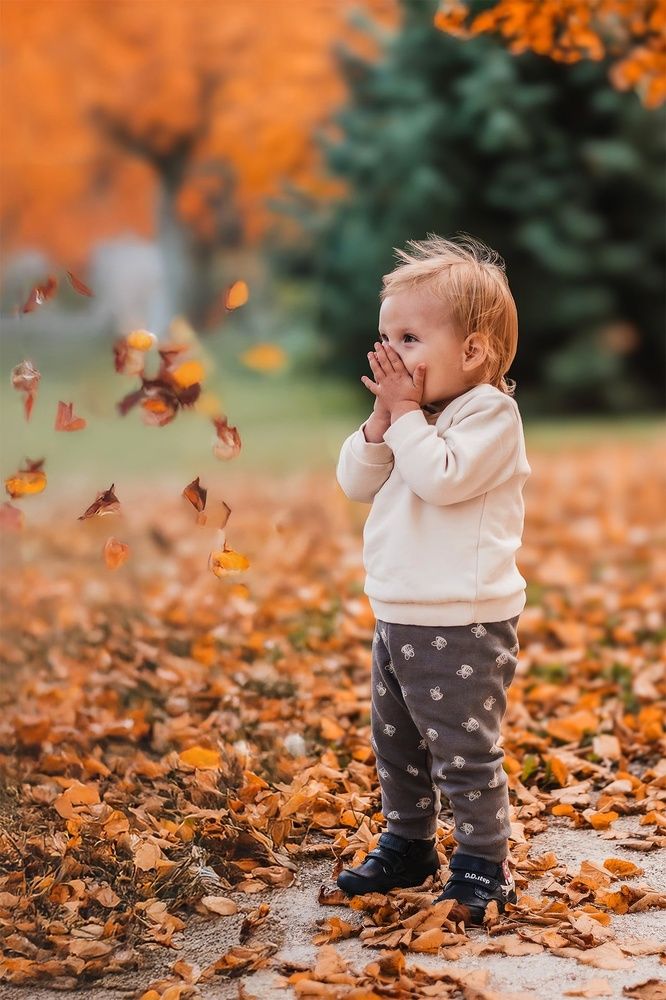 Autumn Miracles