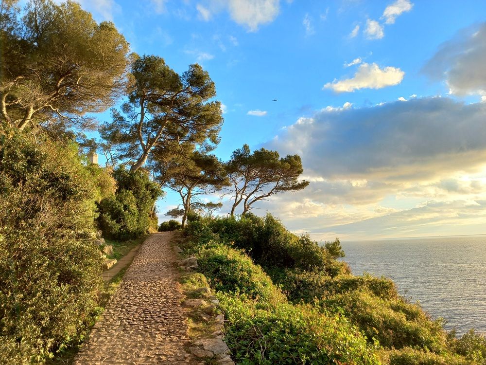 Cap Ferrat, Azure Coast