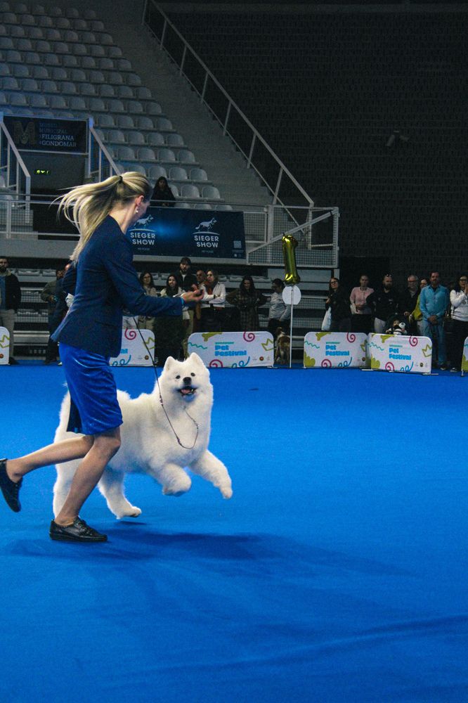 Photograph by Mónica Ramires