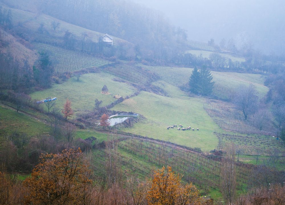 Photograph by Katherin Korovina