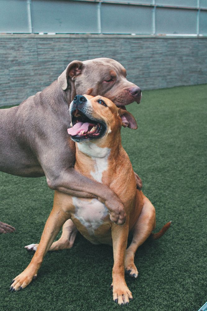 Photograph by Mónica Ramires