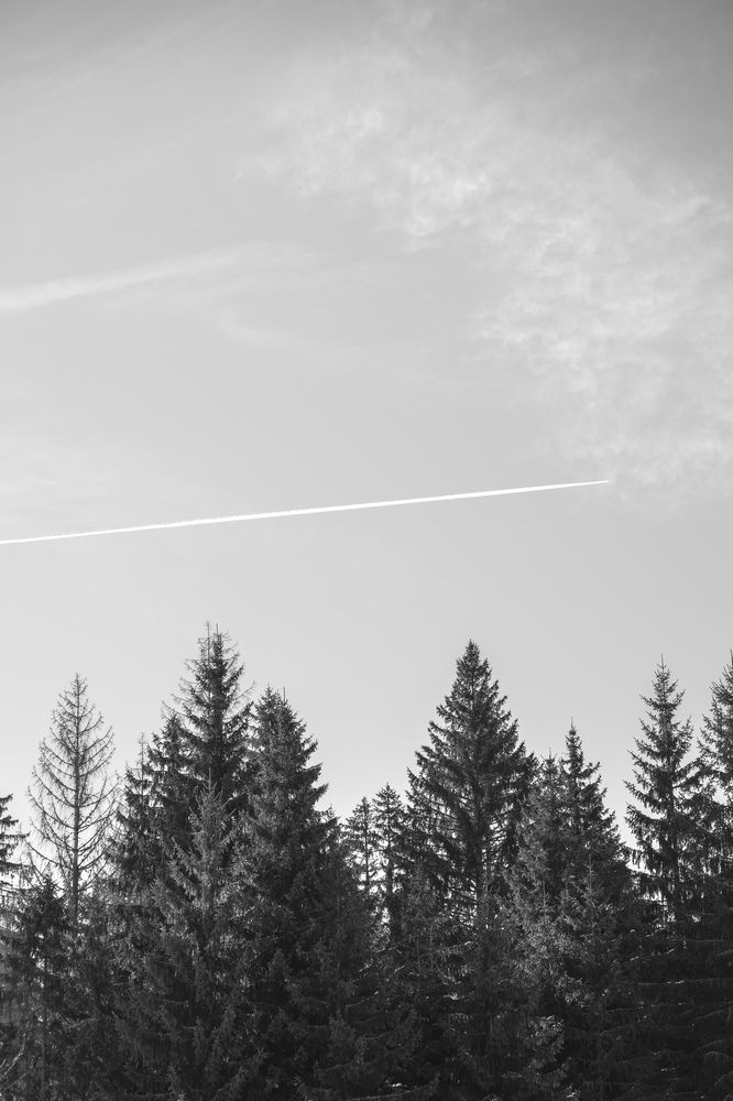 Photograph by Katherin Korovina