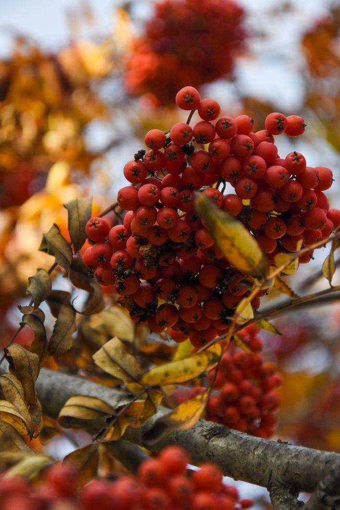 Photograph by Andreas Stroh