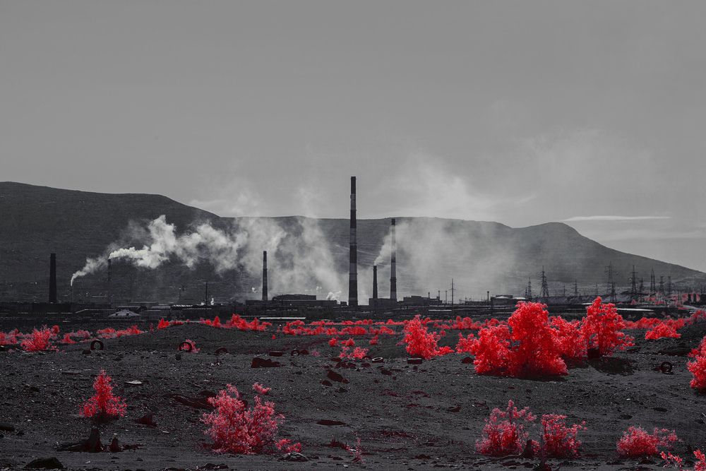 Photograph by Nikita