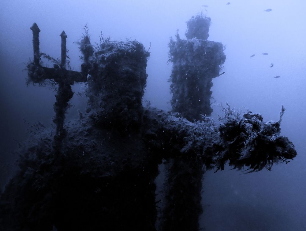 В мире безмолвия