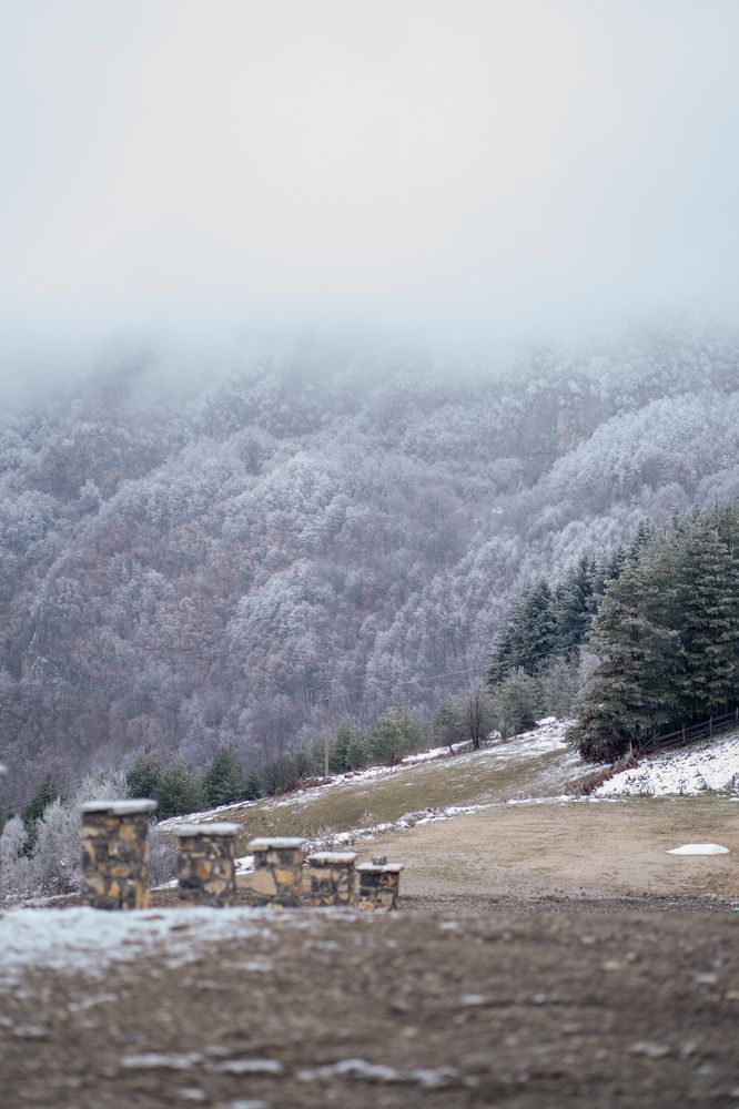 Photograph by Katherin Korovina