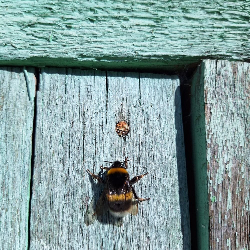 Photograph by Анна