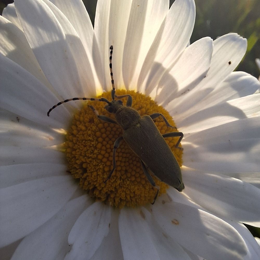 Photograph by Анна