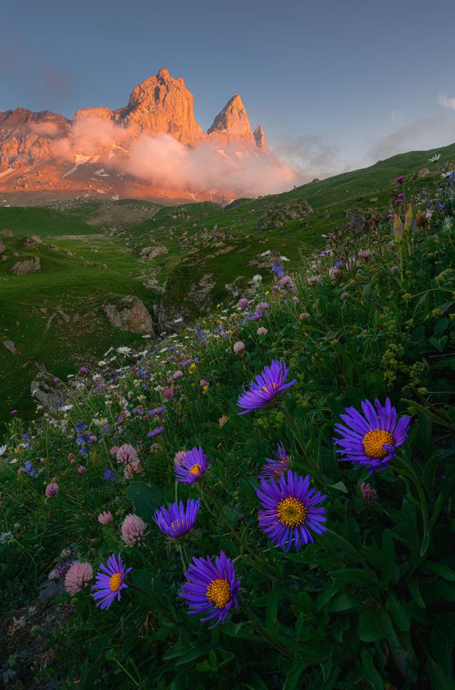 Photograph by Grégoire Pansu