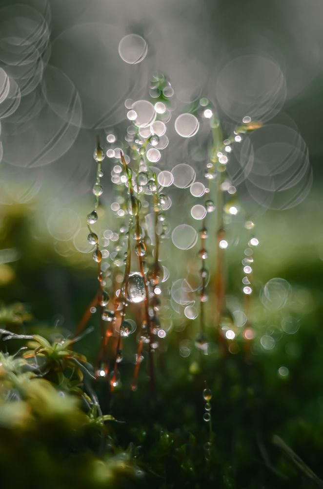 Photograph by Наталья Алексеева