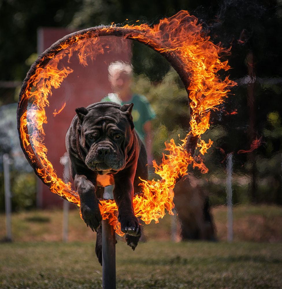 Photograph by Юлия Григорьева