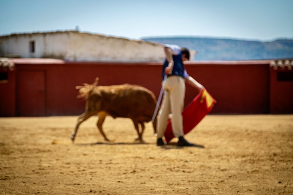 Фотография автора Karim Shokair