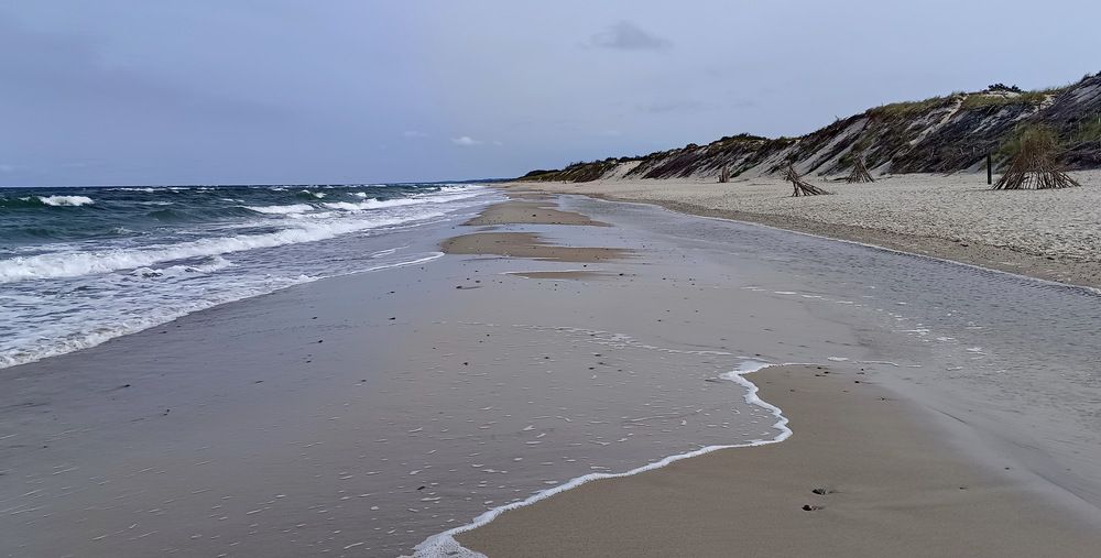 Фотография автора Julia Savelkina