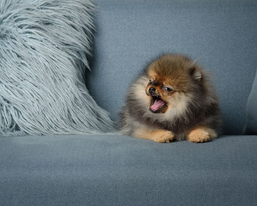 Photograph by Виктория Сафонова