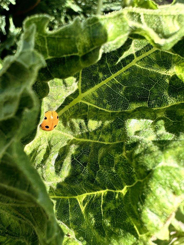 Photograph by Екатерина Балакина