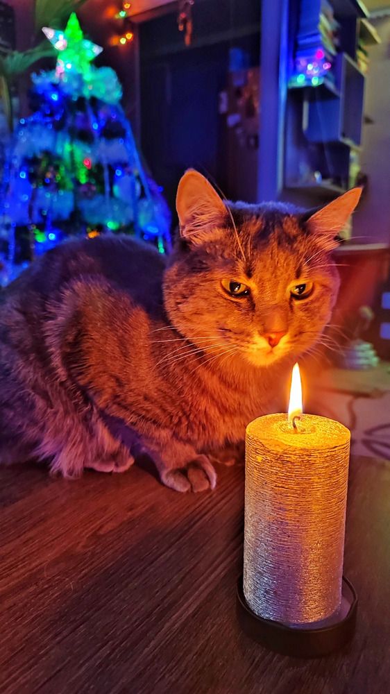 Photograph by Нина Кольман