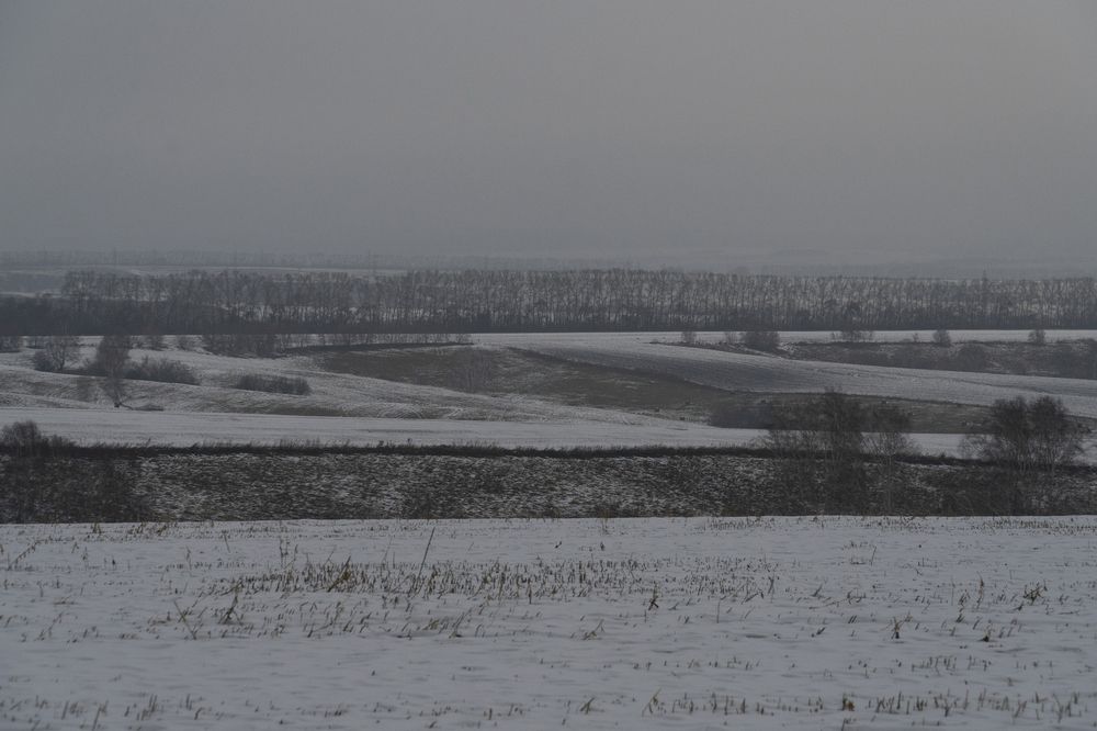 Photograph by Евгения Тупик