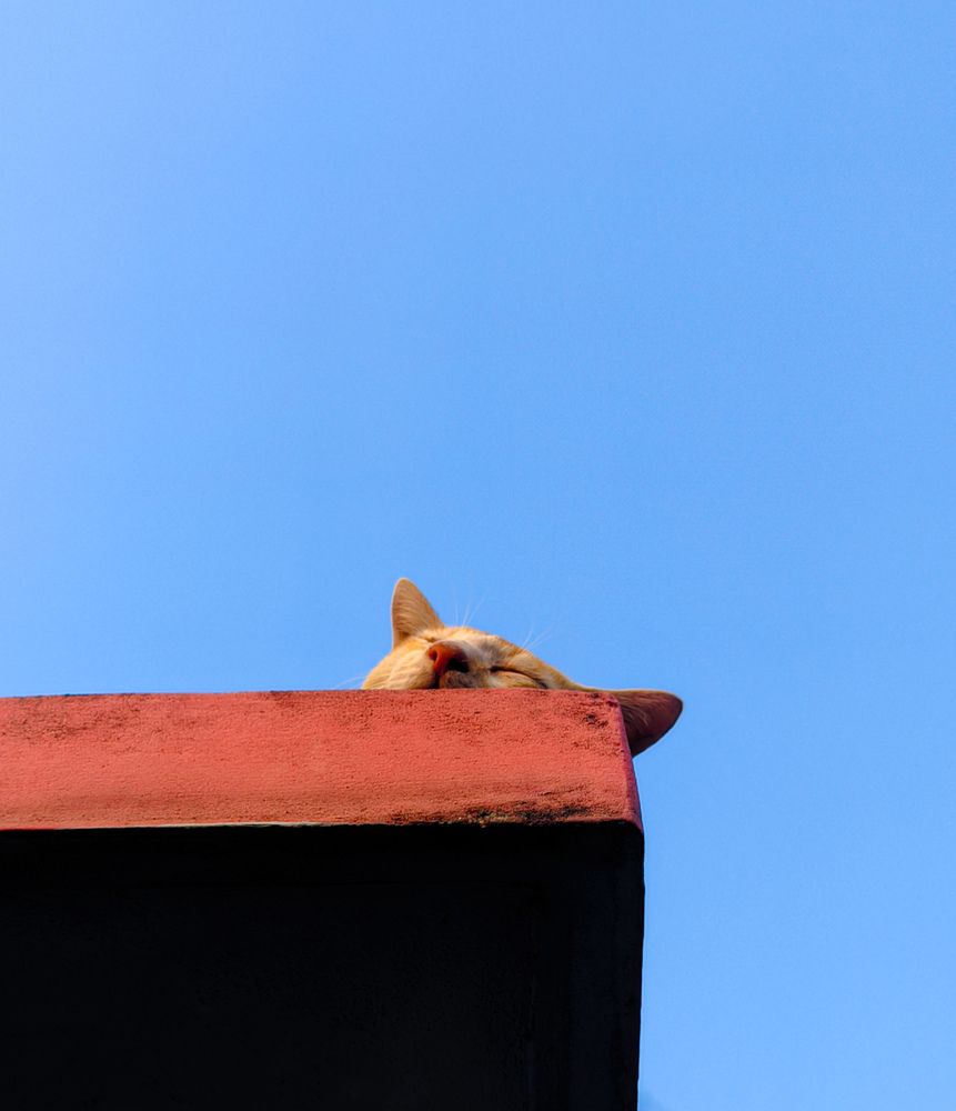 Photograph by Rahat Ahmed