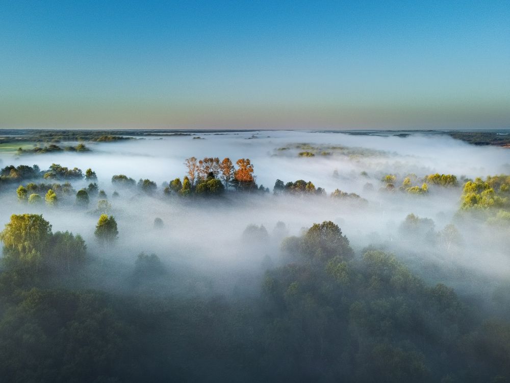 Царство тумана